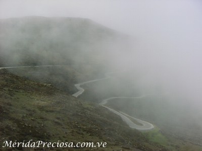 Carretera trasandina