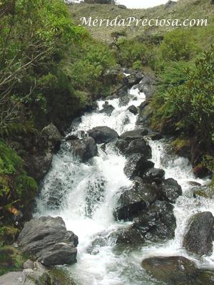 Rio Santo Domingo, Merida