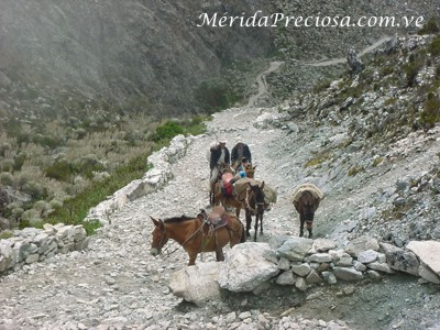 Camino a Los Nevados