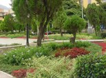 Plaza Bolivar de Merida